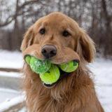 Асагири_рико🥪💚
