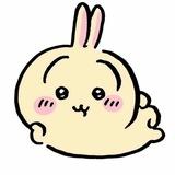 Yoshoki🪷