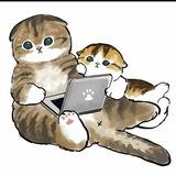 Кошка - друг человека и не только