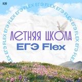 Флексим на 102 балла
