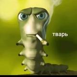косарик 💸