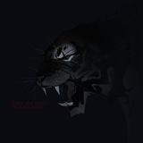 Shadow