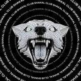 SHAKAL CRYPTO CLUB