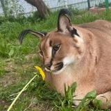 Большой Балтийский Шлëпа.rar