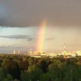 Мещерский лес. Новости