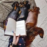 Таксы и книги