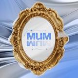 МиМ:отражение