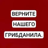 #BACKGRIBDANIL