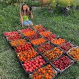 PETROVCHANKA LERA - LIVE