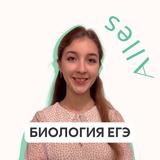 Биология | ОГЭ и ЕГЭ | Alles
