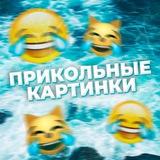 Прикольные картинки/видео