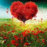 Нежности, нужности, можности ❤