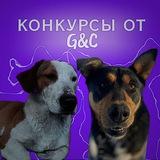"лоты от G&C 🩵"