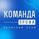 Команда ПРОФИ. Пермский край