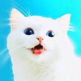 memeKotany
