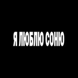 сонечки правят миром🫶