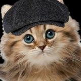 Голубец печкворкный