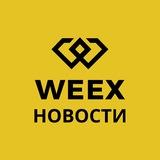 WEEX | Новости криптобиржи
