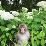 экспонаты холдера