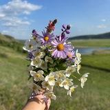 Очаг на Куницынском озере ☀️