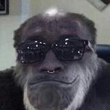 Junk Monkey