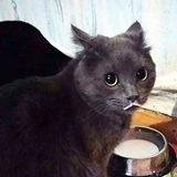 Душенька моя