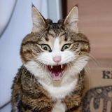 Настроение😜😜😜