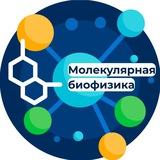 Лаборатория молекулярной биофизики | ГНЦ ИБХ РАН