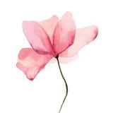 Ҕʏкᴇтнᴀя Olala Flowerss