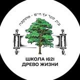 Школа №1621 ДРЕВО ЖИЗНИ