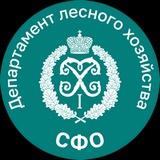 Департамент лесного хозяйства по СФО