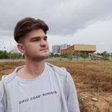 Иннополесёнок в телеге