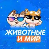 Мир и Животные