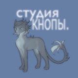 ꒰ 🫐 ꒱ ;; ᴄᴛудия Ꮶнᴏᴨы || #ᴡᴄ ๑๑