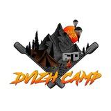 DVIZH CAMP