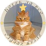 котик на все случаи жизни