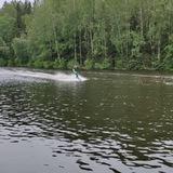 Южный Движ, про туризм и путешествия 🏄♂️🛫🏖️
