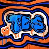 Егор Томилин|TES