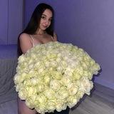 usnlove