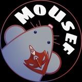 MoUsef
