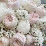 ‹ ‹ flowᧉr vallᧉy . . ⁬⁯⁬⁯⁬⁯⁬⁯⁬⁯⁬⁯⁬⁯⁬⁯⁬⁯⁬⁯⁬⁯⁬⁯⁬⁯⁬⁯⁬⁯⁬