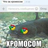 Пары СОМиКОв 🐺