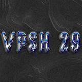 ВПШ 29