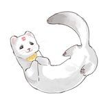 lim𑄝nchik ิ︎.•︎