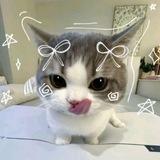 ‼️ ОТВЕТЫ НА ОГЭ ГВЭ ВПР‼️