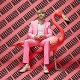 life flamingo🦩