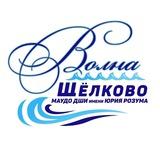 Образцовый детский коллектив Московской области хореографический ансамбль Волна ДШИ им. Ю. А. Розума