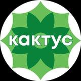 Кактус - фулфилмент для маркетплейсов