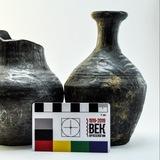 Archaeo_dog