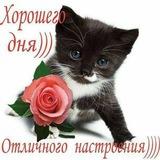 панасонек